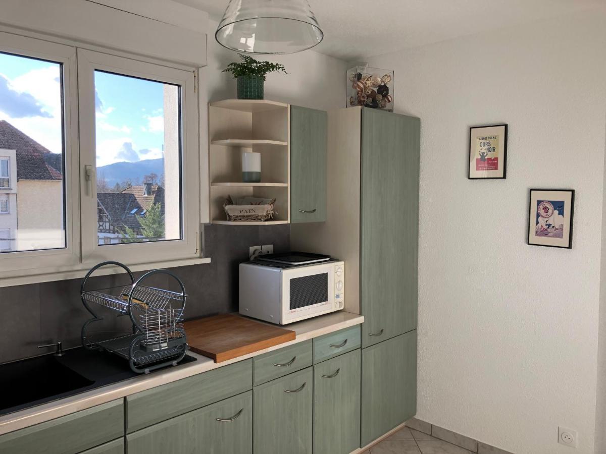 Apartment Au Pied Des Vosges *